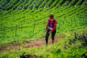 BIB: 
                            <button type="button" onclick="openModal(19163050)" class="btn btn-primary btn-sm float-right btn-popup" data-toggle="modal" data-target=".modal-high-quality">
                        <i class="fas fa-shopping-cart"></i> Add to Cart
                    </button>
                                            <button type="button" onclick="isThisMe(19163050, true)" class="btn btn-success btn-sm float-right btn-popup btn-isme hidden" data-toggle="tooltip" data-placement="bottom" title="นี่คือรูปของคุณใช่ไหม คลิกที่นี่เพื่อเอาเข้าอัลบั้ม">
                        <i class="fas fa-plus"></i> Add to album
                    </button>
                    <button type="button" onclick="isThisMe(19163050, false)" class="btn btn-warning btn-sm float-right btn-popup btn-isnotme hidden">
                        <i class="fas fa-ban"></i> Remove from album
                    </button>